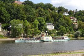 Elberadweg in Bad Schandau mit Elbe und Raddampfer - © AugustusTours, Torsten Schlott