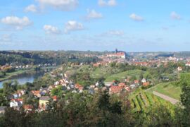 Sächsische Weinstraße: Blick nach Meißen - © AugustusTours, Juliane Hummel