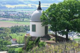 Sächsische Weinstraße: Jacobstein in Radebeul am Weinwanderweg © AugustusTours