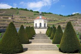 Weingut Schloß Wackerbarth in Radebeul am Sächsischen Weinwanderweg © AugustusTours